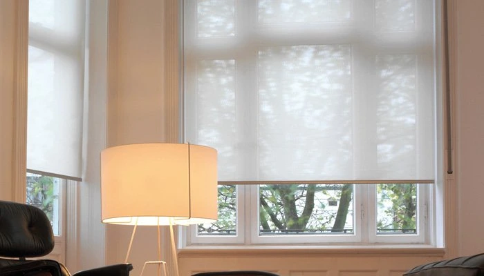 Rollo transparent